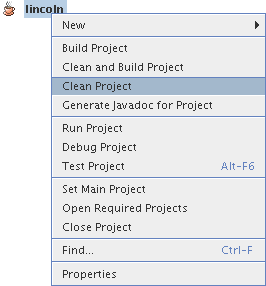 cleaning a project
