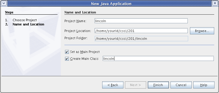 New Java Application window