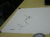 KIF_1162