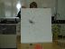 P1010199.JPG