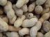 P1010150.JPG